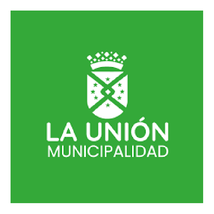 Municipalidad de La Union